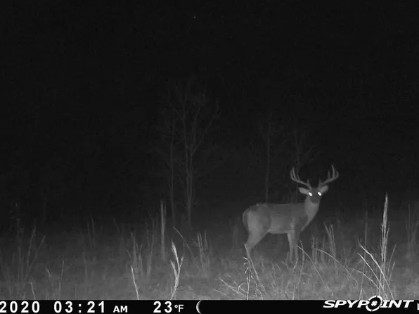 Martin Creek Rd, Williford, AR 72482