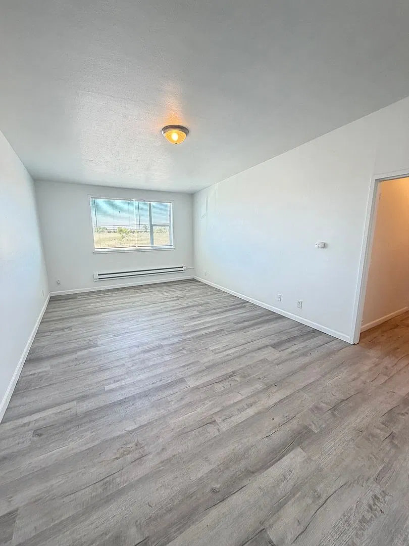 Two Bedrooms, One Bedroom, and Studio Apartments Available — Photo 3
