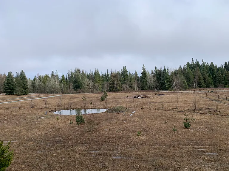 W Shingle Mill Rd — Photo 28