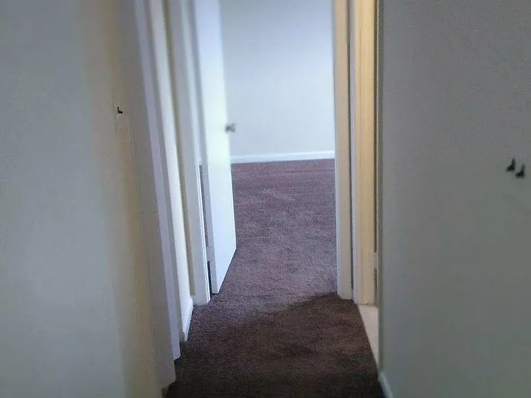 4910 Walnut Street — Photo 5