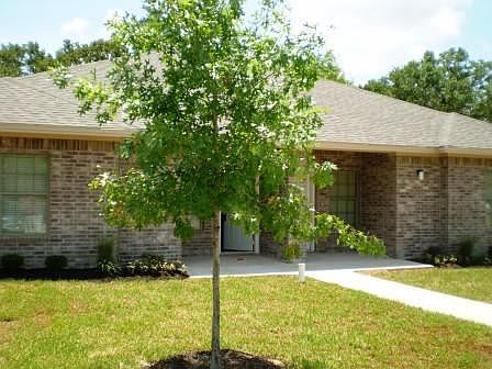 Front_single.7263805_std