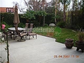 Large backyard with mature trees