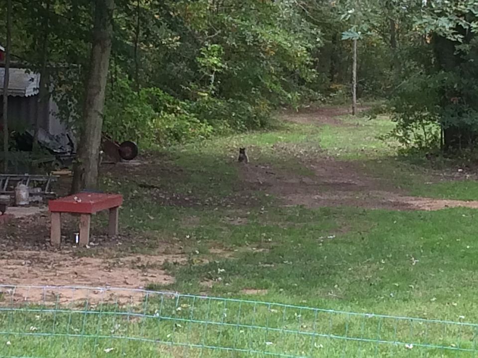 2nd image of 22770 Sumpter Rd