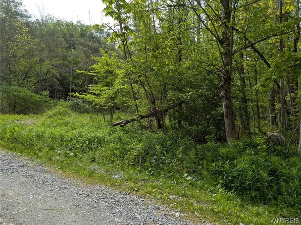 34 Treehaven Rd Lot 25, Gainesville, NY 14066