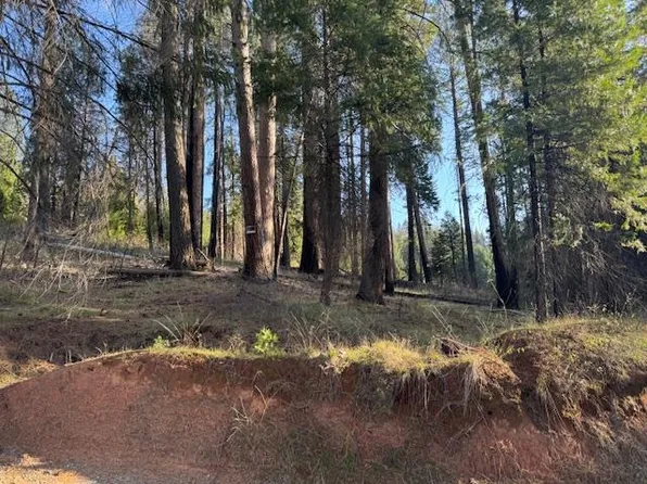 5026 Old Mine Rd, Grizzly Flats, CA 95636