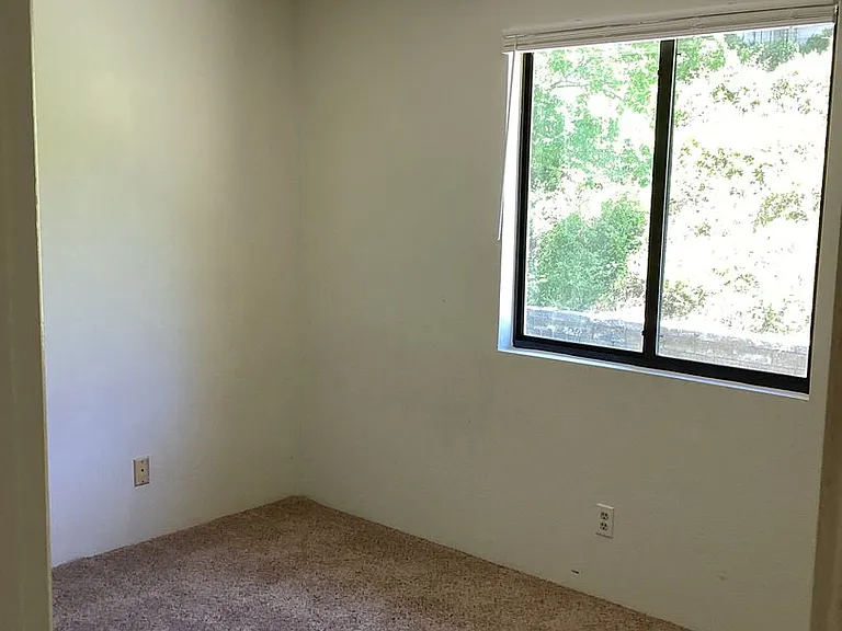 439 Foxfire Ln — Photo 6