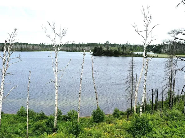 2377 N McDougal Lake Rd, Isabella, MN 55607