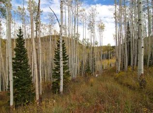 171 White Pine Canyon Rd, Park City, UT 84060