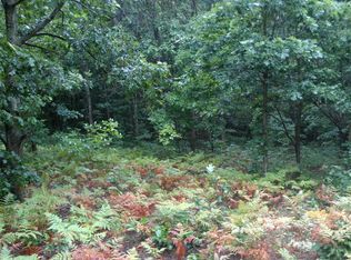 4986 E Loop Rd, Hesperia, MI 49421