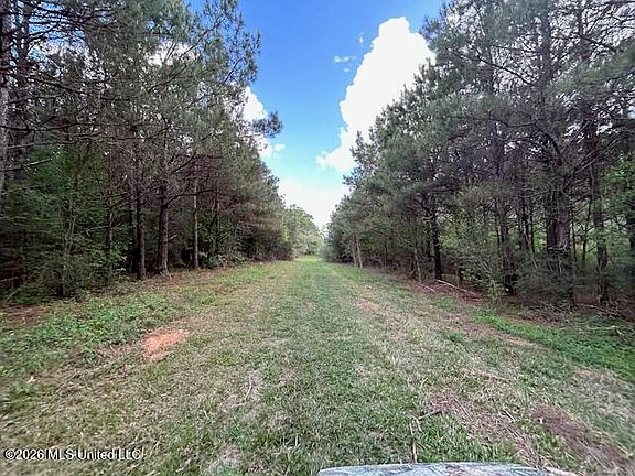 5th image of Vaniel Holmes Rd
