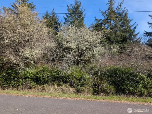 133 Cloquallum Street SE, Ocean Shores, WA 98569