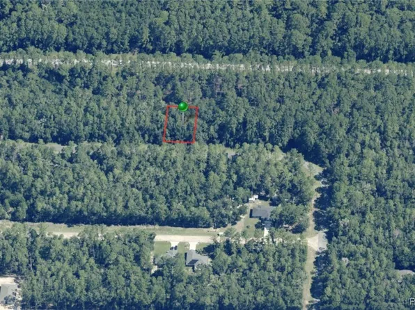 9243 N Patch Dr, Citrus Springs, FL 34434