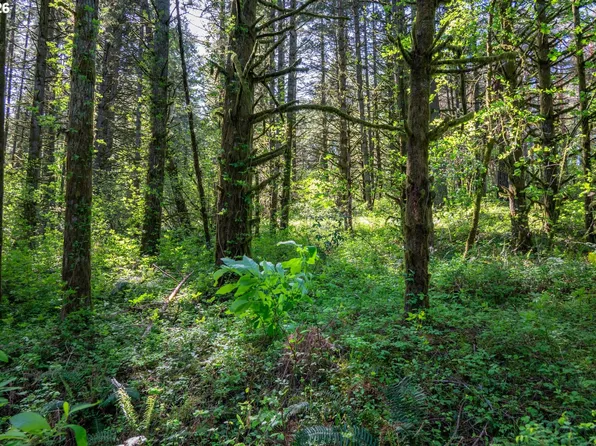 SW Mountainside Dr, Cornelius, OR 97113
