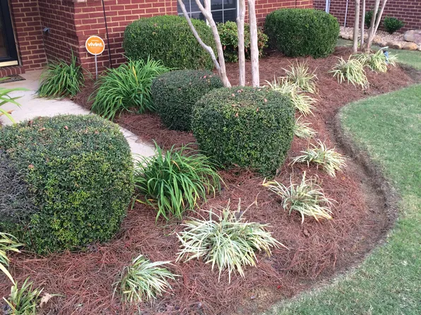 435 Willena Cir, Tupelo, MS 38801