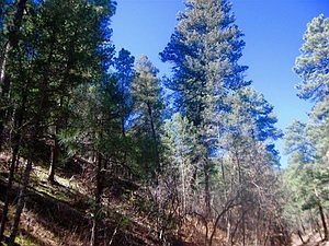 4th image of 211 Camelot Dr