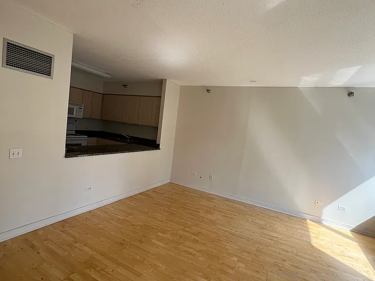 512 N McClurg Ct #909 — Photo 6