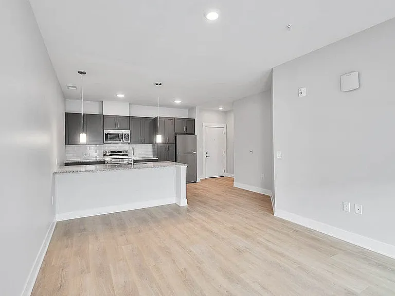 Open Concept Living Area & Kitchen
