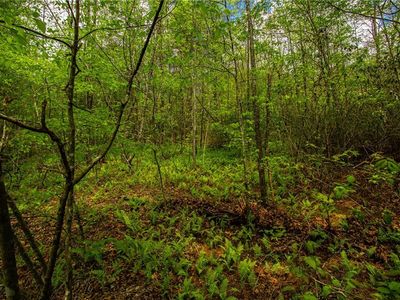 Trct B Antioch Church Rd #A, Dawsonville, GA, 30534