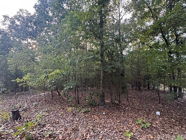 1st image of 319 Bruce Mitchell Rd