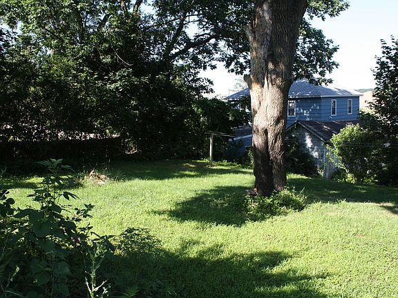 Back Yard I