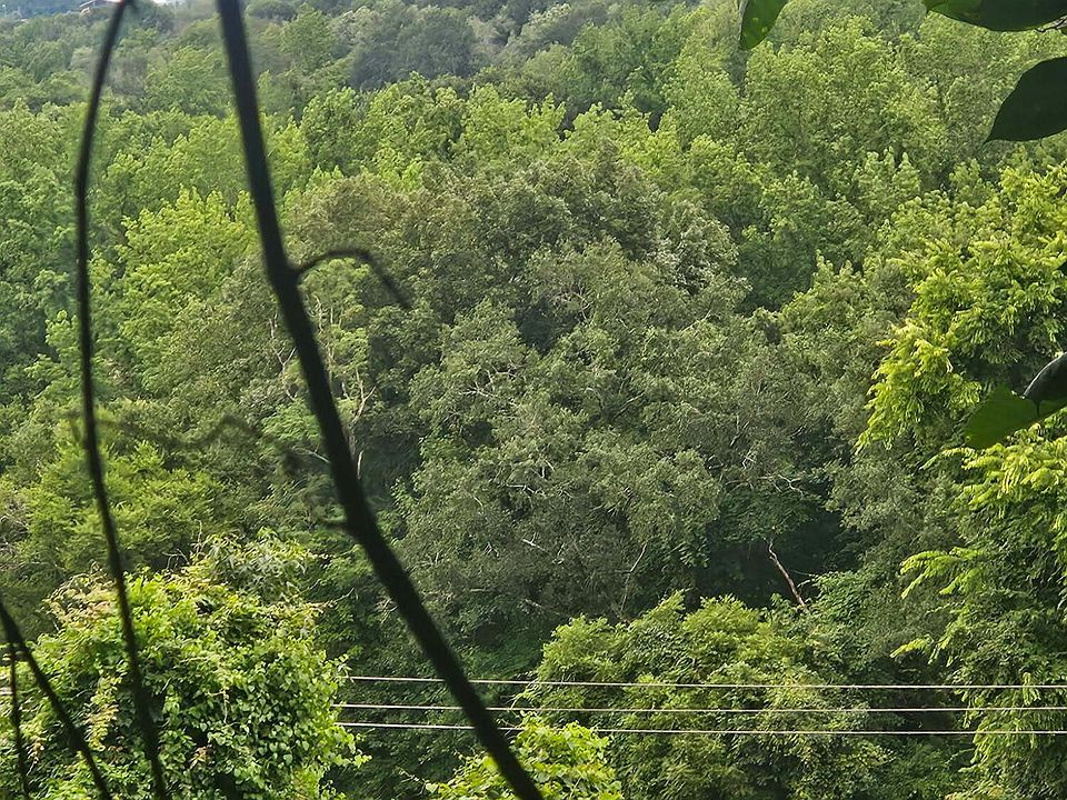 2nd image of 0 Old Jasper Rd