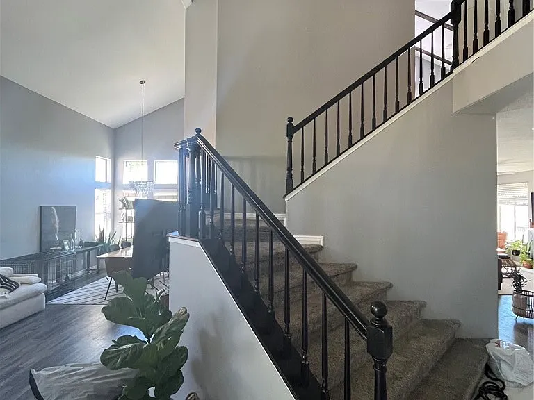 53 Corte Madera — Photo 8