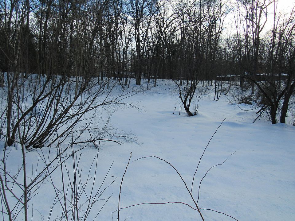 2nd image of Marion St