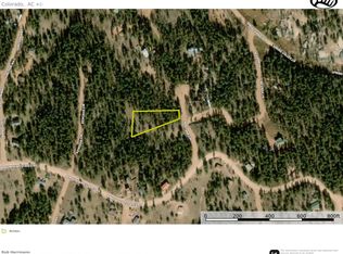 43 Montana Cir, Florissant, CO 80816