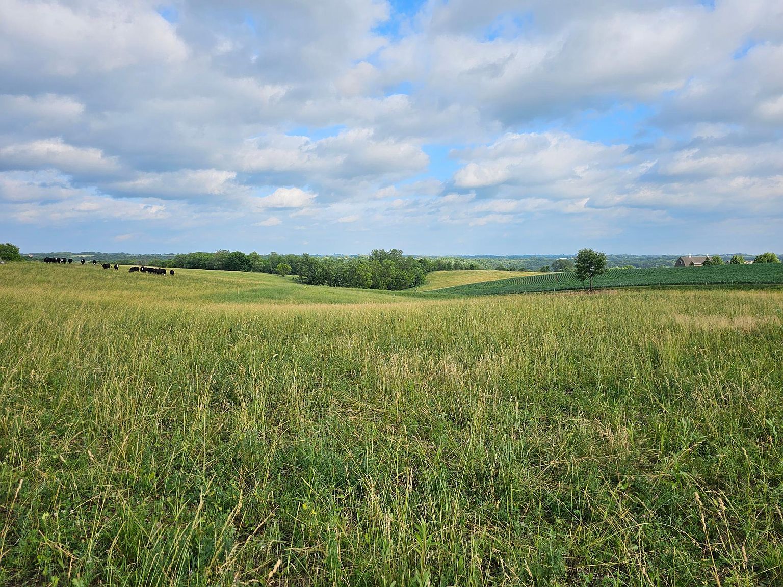 130th Ave, Welch, MN 55089 MLS 6392801 Zillow