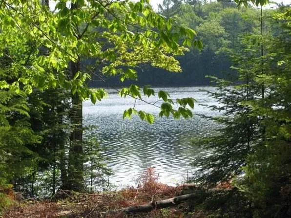 LOT 8 Lake Bluff Dr, Alpena, MI 49707