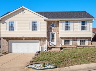 427 Caddy Court St, Saint Clair, MO 63077
