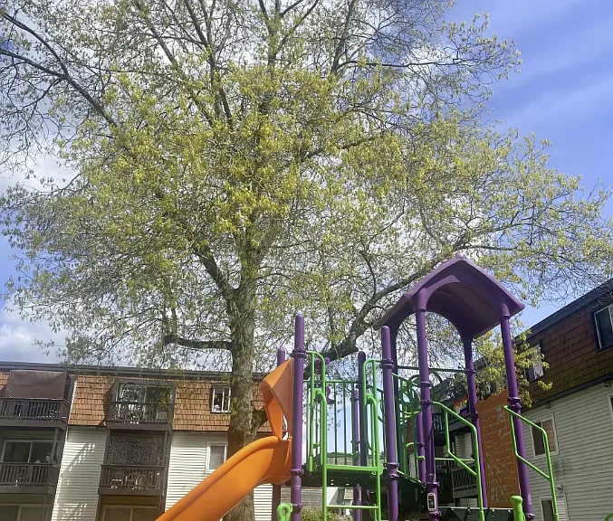Woodland Greens Apartments — Photo 17