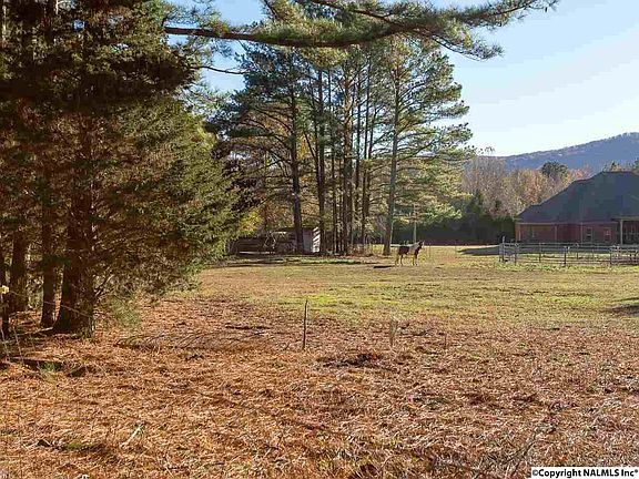 2nd image of 137 Buckeye Ln