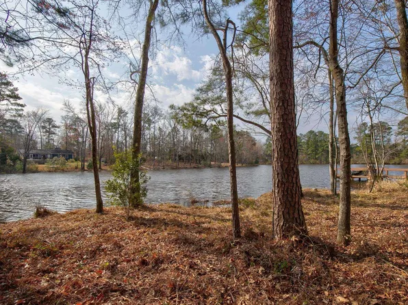 217 Caro Ln, Chapin, SC 29036