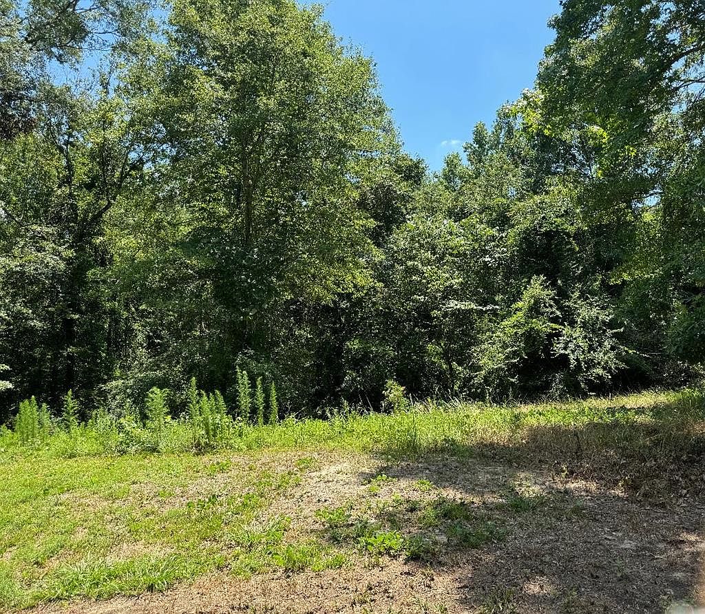 0 Huddleston Rd, Heidelberg, MS 39439 | MLS #33949 | Zillow