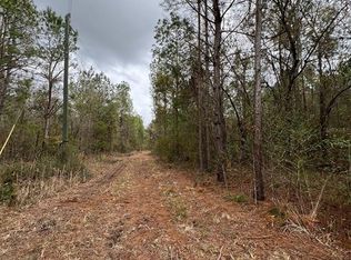 7136 Wiggins Rd, Live Oak, FL 32060