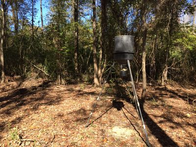 County Road 1504, Rusk, TX, 75785