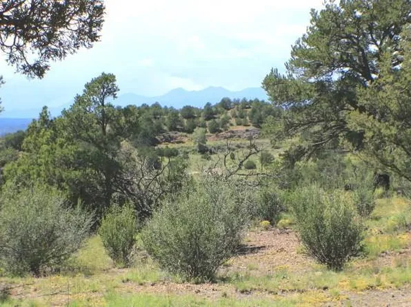 Tract 5 Plaza De La Vista, Weston, CO 81091