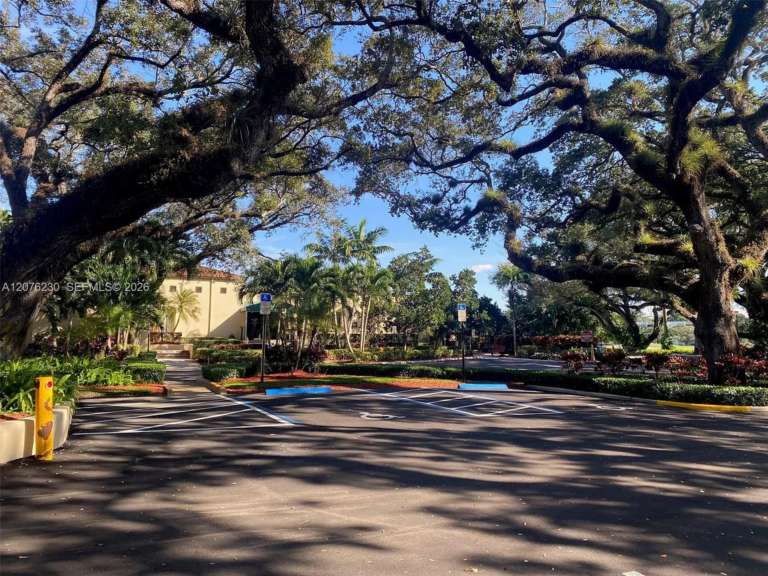 Poinciana 2 Of Pine Islan — Photo 4