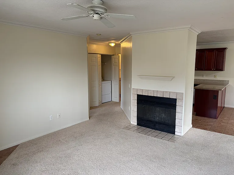 Living room and fireplace