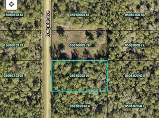 10100 Delgado Ave, Hastings, FL 32145