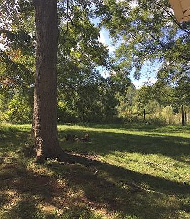 view into field dbehind home
