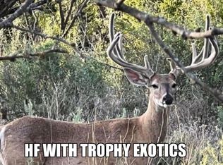 County Road 121, Brownwood, TX 76801