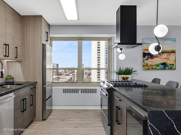 4th image of 3950 N Lake Shore Dr APT 919