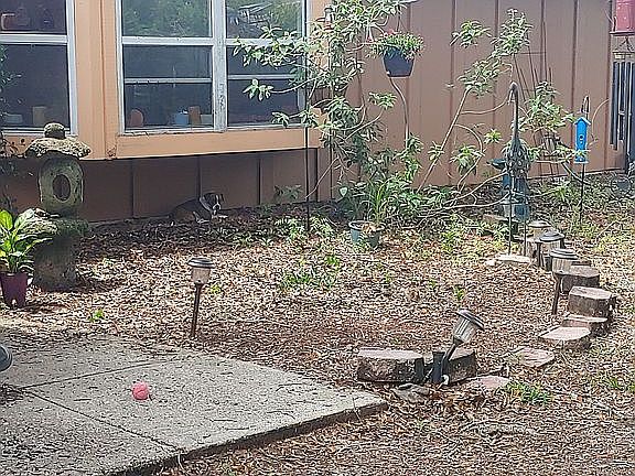 Window Seaton living room