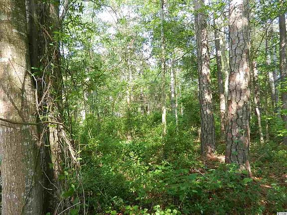 5th image of Lot 44 Cove Dr.