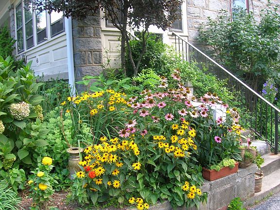 Front Garden