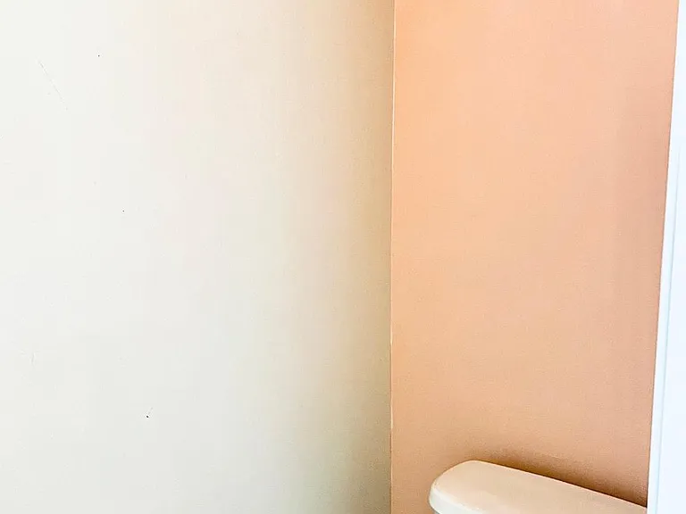 Master Toilet