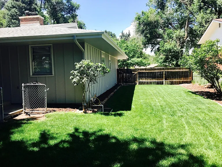 Great back yard-