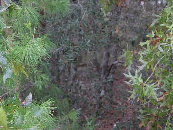 5th image of 9478 N TIMBER CREEK TERRACE LOT 10